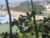 View8